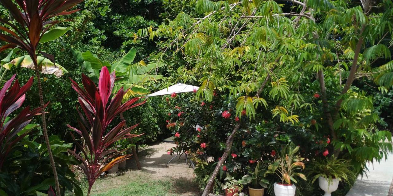 Chez Mera Self Catering La Digue Exterior foto